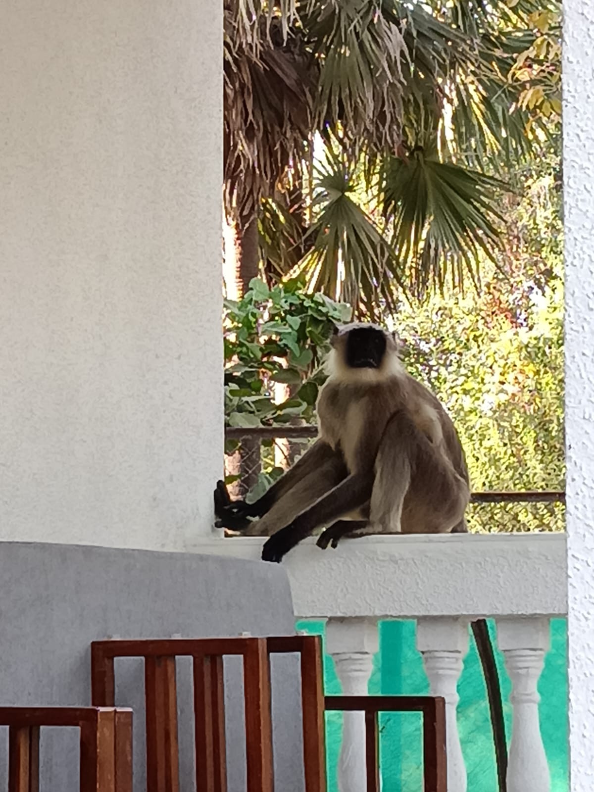 WhatsApp Image 2025-10-24 at 14.43.33_d56728d8